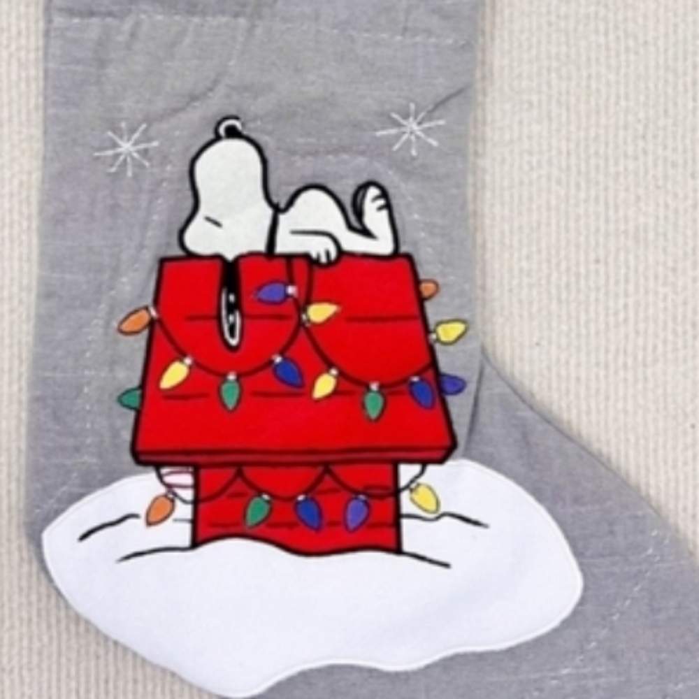 New PBK Snoopy peanuts Pottery Barn Kids Dog Christmas Stocking Charlie Brown